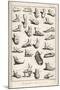 Selection of Ancient and Not So Ancient Footwear Including Various Styles of Sandal-Bernard-Mounted Premium Giclee Print