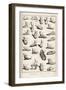 Selection of Ancient and Not So Ancient Footwear Including Various Styles of Sandal-Bernard-Framed Art Print