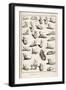 Selection of Ancient and Not So Ancient Footwear Including Various Styles of Sandal-Bernard-Framed Art Print
