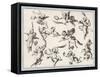 Selection of Cherubs in Various Positions-null-Framed Stretched Canvas