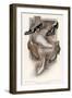 Selection of Shoes of the Period-null-Framed Art Print