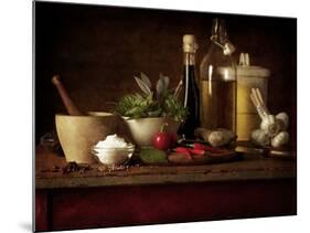 Selection of Spicey Ingredients and Herbs Used in Cooking-Steve Lupton-Mounted Photographic Print
