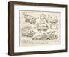 Selection of Tanks Shaped Like Animals-Percy T. Reynolds-Framed Art Print