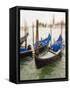 Selective Focus of Gondola in the Canals of Venice, Italy-Terry Eggers-Framed Stretched Canvas