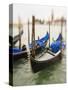 Selective Focus of Gondola in the Canals of Venice, Italy-Terry Eggers-Stretched Canvas