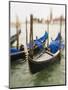 Selective Focus of Gondola in the Canals of Venice, Italy-Terry Eggers-Mounted Photographic Print