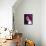 Selena Gomez-null-Framed Stretched Canvas displayed on a wall