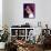 Selena Gomez-null-Framed Stretched Canvas displayed on a wall