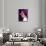 Selena Gomez-null-Framed Stretched Canvas displayed on a wall