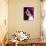 Selena Gomez-null-Photo displayed on a wall