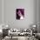 Selena Gomez-null-Photo displayed on a wall