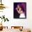 Selena Gomez-null-Framed Photo displayed on a wall