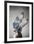 Selene-Design Fabrikken-Framed Art Print