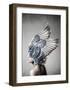 Selene-Design Fabrikken-Framed Art Print