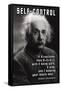 Self-Control, Einstein-null-Framed Stretched Canvas