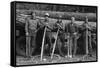 Self-Help Sawmill Workers-Dorothea Lange-Framed Stretched Canvas