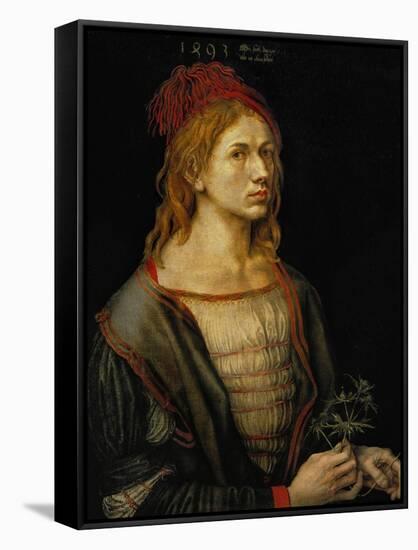 Self-Portrait, 1493-Albrecht Dürer-Framed Stretched Canvas