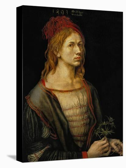 Self-Portrait, 1493-Albrecht Dürer-Stretched Canvas