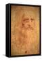 Self-Portrait, 1512-Leonardo da Vinci-Framed Stretched Canvas