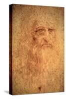 Self-Portrait, 1512-Leonardo da Vinci-Stretched Canvas