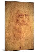 Self-Portrait, 1512-Leonardo da Vinci-Mounted Giclee Print