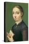 Self Portrait, 1554-Sofonisba Anguisciola-Stretched Canvas