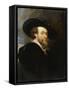 Self-Portrait, 1623-Peter Paul Rubens-Framed Stretched Canvas