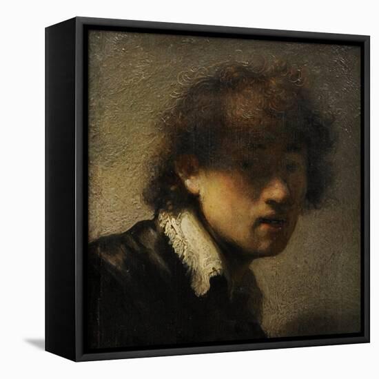 Self-Portrait, 1628-1629-null-Framed Stretched Canvas