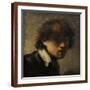 Brown Frame