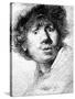 Self Portrait, 1630 (Etching)-Rembrandt van Rijn-Stretched Canvas