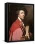 Self Portrait, 1775-Sir Joshua Reynolds-Framed Stretched Canvas