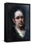 Self Portrait, 1815-Francisco de Goya-Framed Stretched Canvas