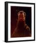 Self-Portrait, 1870S-Illarion Mikhailovich Pryanishnikov-Framed Giclee Print