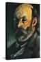 Self-Portrait, 1880-Paul Cézanne-Stretched Canvas