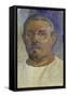 Self-Portrait 1903-Paul Gauguin-Framed Stretched Canvas