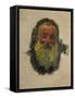 Self-Portrait, 1917-Claude Monet-Framed Stretched Canvas