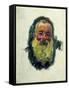 Self-Portrait, 1917-Claude Monet-Framed Stretched Canvas