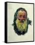 Self-Portrait, 1917-Claude Monet-Framed Stretched Canvas