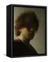 Self Portrait as a Young Man, C.1628-Rembrandt van Rijn-Framed Stretched Canvas