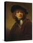 Self-Portrait as a Young Man-Rembrandt van Rijn-Stretched Canvas