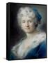 Self-Portrait as Winter, 1731-Rosalba Giovanna Carriera-Framed Stretched Canvas