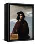 Self Portrait, C.1641-Salvator Rosa-Framed Stretched Canvas