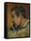 Self-Portrait, c.1896-Paul Gauguin-Framed Stretched Canvas