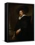 Self-Portrait, Ca 1638-Peter Paul Rubens-Framed Stretched Canvas