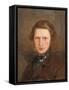 Self Portrait in a Brown Coat, C. 1844-Ford Madox Brown-Framed Stretched Canvas