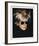 Self-Portrait in Fright Wig, 1986-Andy Warhol-Framed Art Print