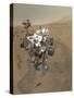 Self-Portrait of Curiosity Rover in Gale Crater on the Surface of Mars-null-Stretched Canvas