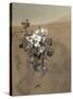 Self-Portrait of Curiosity Rover in Gale Crater on the Surface of Mars-null-Stretched Canvas