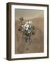 Self-Portrait of Curiosity Rover in Gale Crater on the Surface of Mars-null-Framed Premium Photographic Print