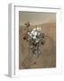 Self-Portrait of Curiosity Rover in Gale Crater on the Surface of Mars-null-Framed Premium Photographic Print